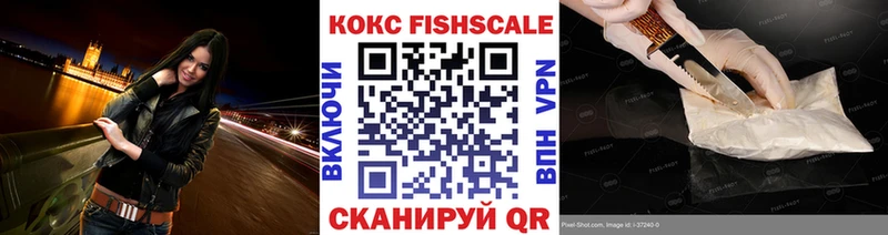 где купить   Иркутск  Кокаин Fish Scale 