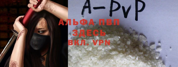 стафф Алзамай