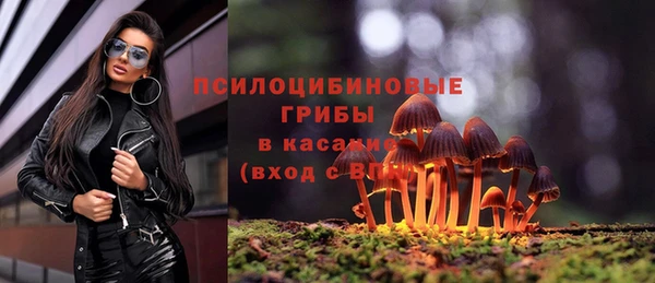 прущий лед Алексин