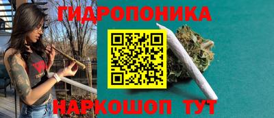 гидропоника Дмитров