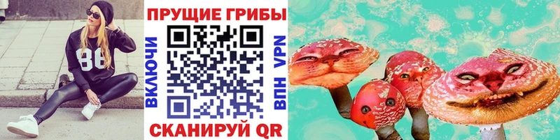 наркошоп  Иркутск  Галлюциногенные грибы GOLDEN TEACHER 
