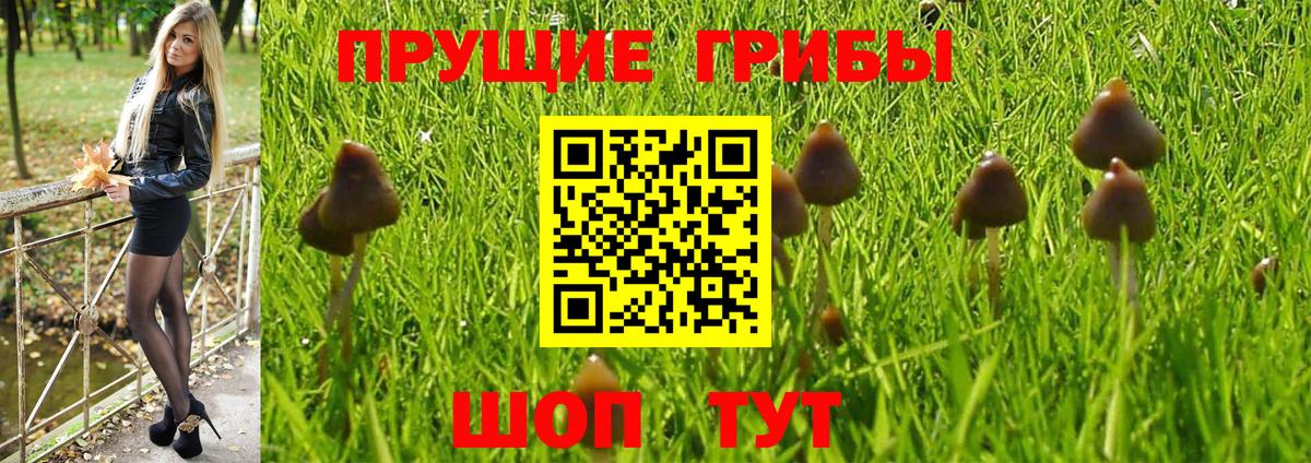 Иркутск  Галлюциногенные грибы мухоморы  Вход с VPN  Галлюциногенные грибы мухоморы 