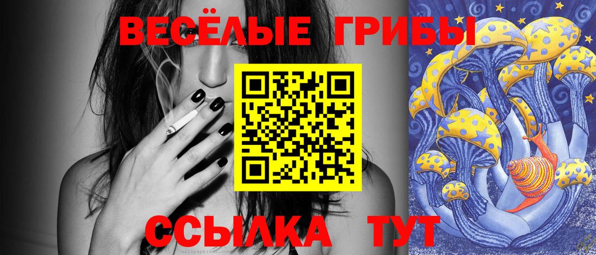 Псилоцибиновые грибы мухоморы Иркутск