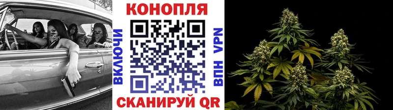 OMG ССЫЛКА  как найти наркотики  Иркутск  Канабис AK-47 